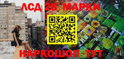 МДПВ Обь