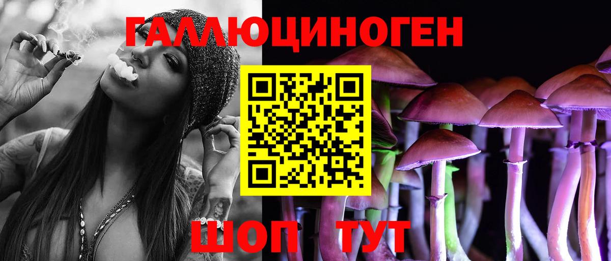 Среднеуральск  Псилоцибиновые грибы MAGIC MUSHROOMS  Вход с VPN 