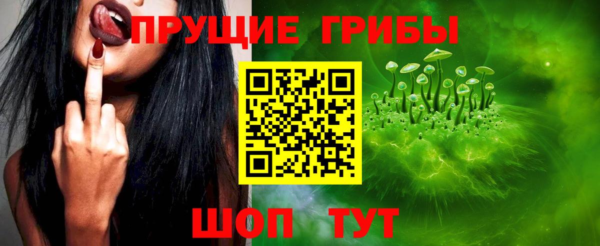 Галлюциногенные грибы прущие грибы Среднеуральск